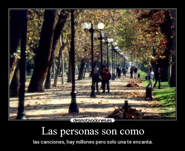 Las personas son como - las canciones, hay millones pero solo una te encanta.