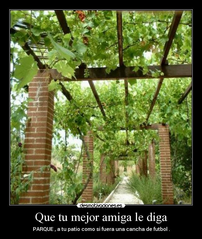 Que tu mejor amiga le diga - PARQUE , a tu patio como si fuera una cancha de futbol .
