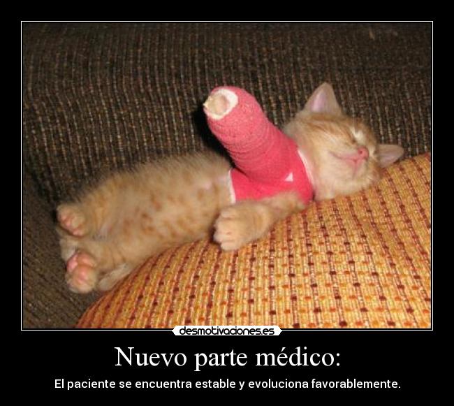 Nuevo parte médico: - El paciente se encuentra estable y evoluciona favorablemente.