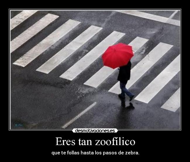 Eres tan zoofílico - que te follas hasta los pasos de zebra.