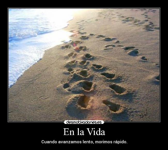 En la Vida - Cuando avanzamos lento, morimos rápido.
