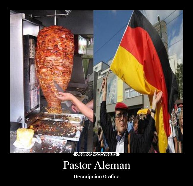 Pastor Aleman - Descripción Grafica