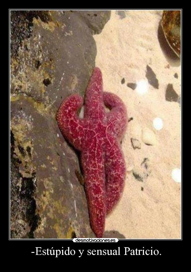 -Estúpido y sensual Patricio. - 