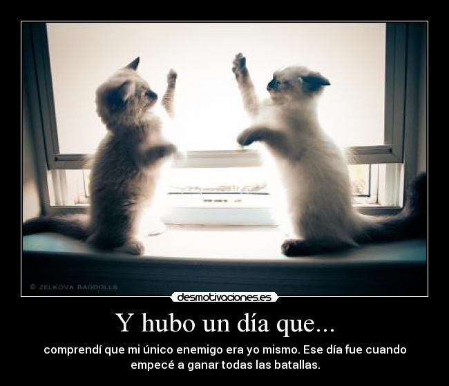 carteles hubo dia desmotivaciones