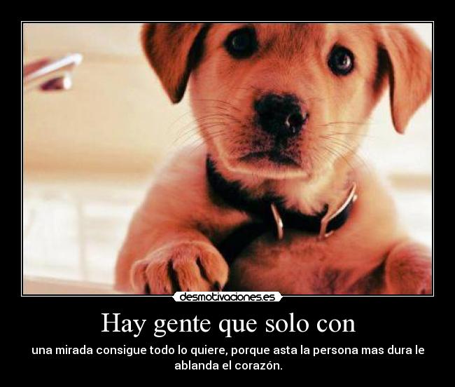 Hay gente que solo con - 