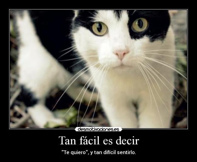 Tan fácil es decir - 