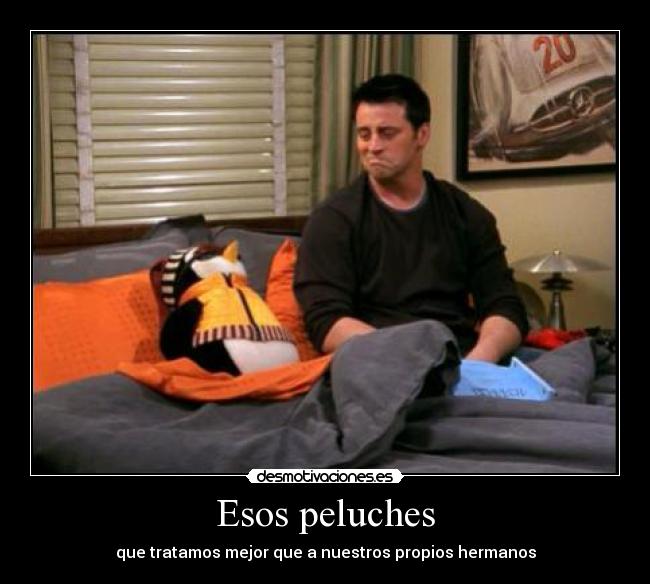 Esos peluches - que tratamos mejor que a nuestros propios hermanos