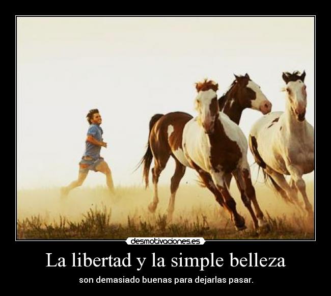 La libertad y la simple belleza - son demasiado buenas para dejarlas pasar.