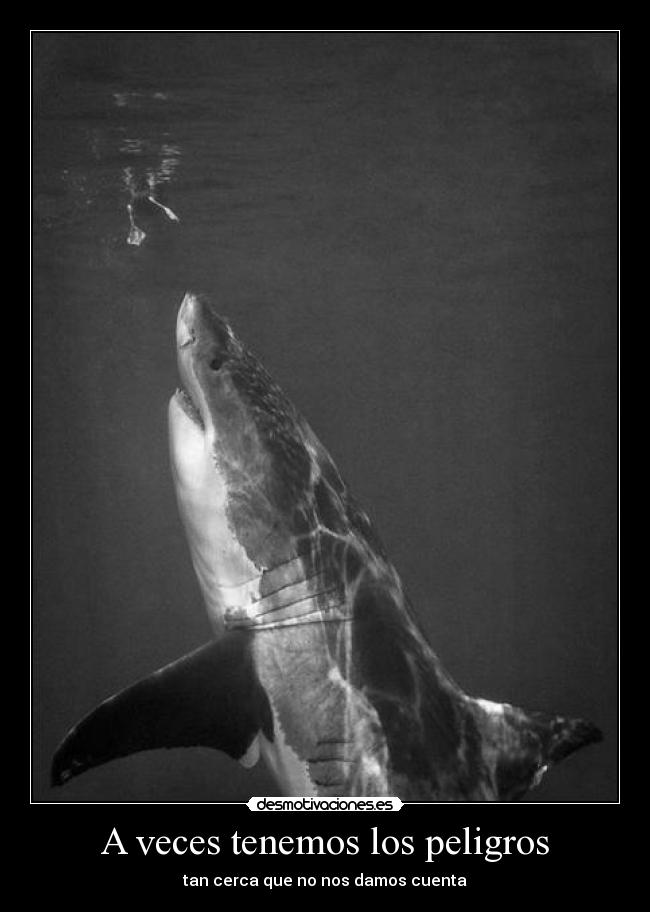 A veces tenemos los peligros -