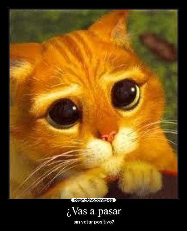 ¿Vas a pasar - sin votar positivo?
