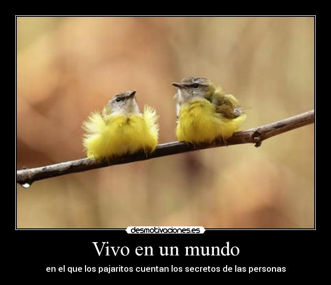 Vivo en un mundo - en el que los pajaritos cuentan los secretos de las personas