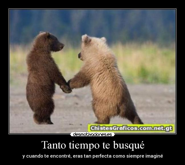 Tanto tiempo te busqué - y cuando te encontré, eras tan perfecta como siempre imaginé