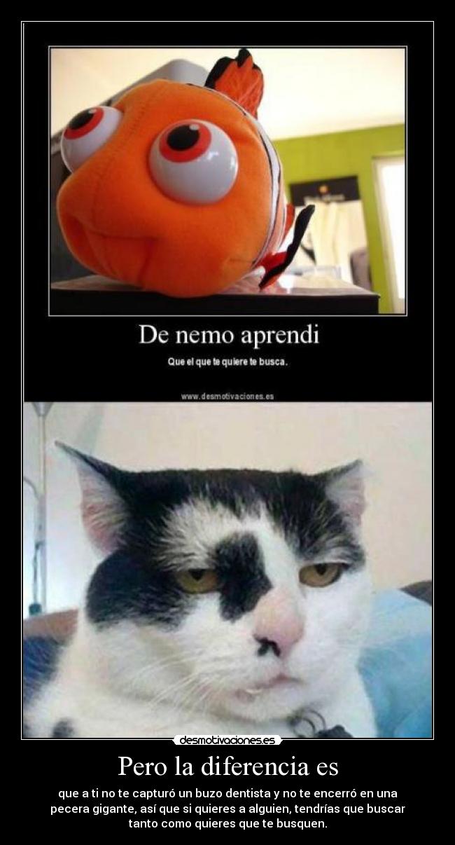 Pero la diferencia es -