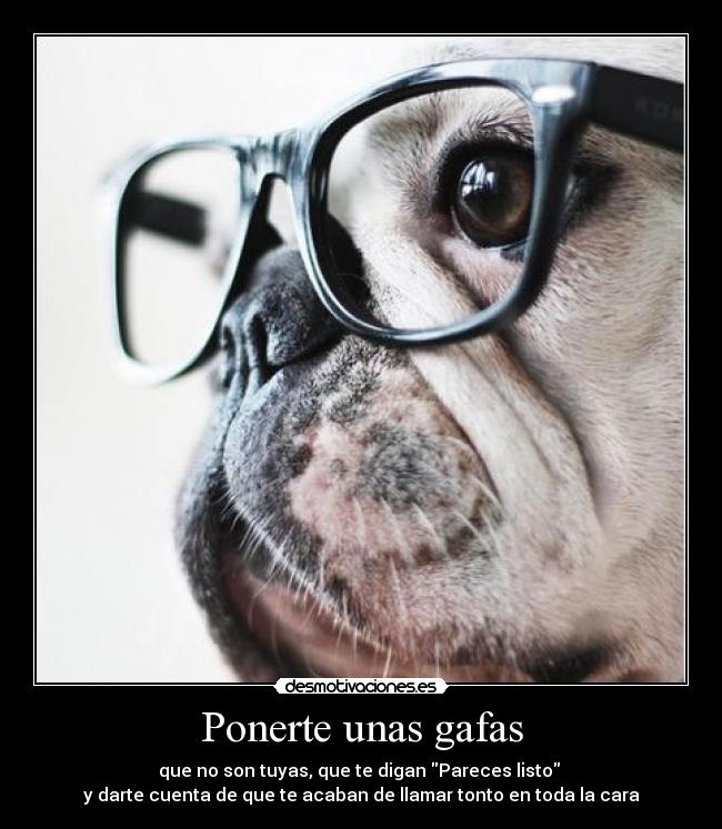 Ponerte unas gafas - que no son tuyas, que te digan Pareces listo
y darte cuenta de que te acaban de llamar tonto en toda la cara
