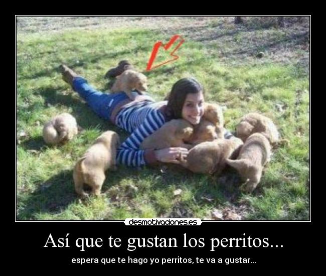 Así que te gustan los perritos... - espera que te hago yo perritos, te va a gustar...