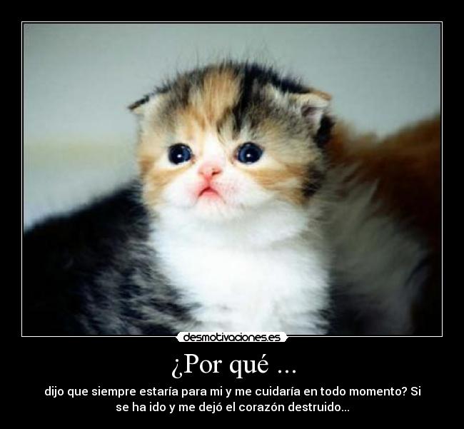 ¿Por qué ... - dijo que siempre estaría para mi y me cuidaría en todo momento? Si
se ha ido y me dejó el corazón destruido...