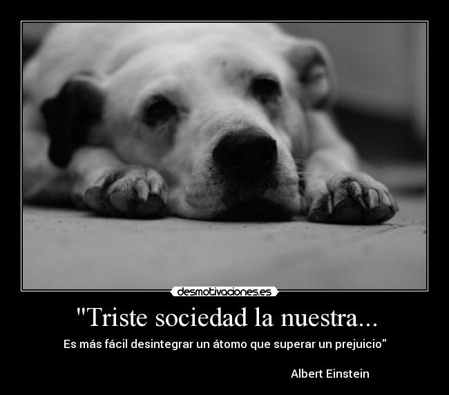 Triste sociedad la nuestra... - Es más fácil desintegrar un átomo que superar un prejuicio
Albert Einstein