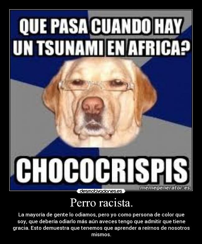 Perro racista. - La mayoría de gente lo odiamos, pero yo como persona de color que
soy, que debería odiarlo más aún aveces tengo que admitir que tiene
gracia. Esto demuestra que tenemos que aprender a reírnos de nosotros
mismos.