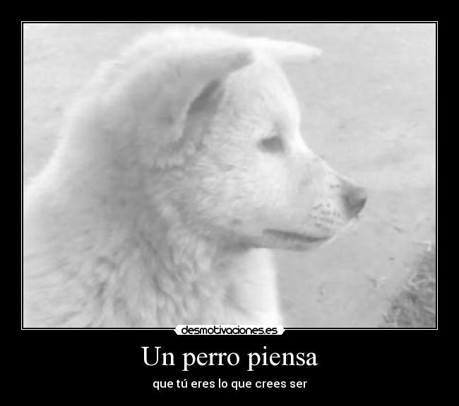 Un perro piensa - que tú eres lo que crees ser