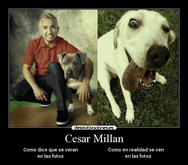 Cesar Millan -