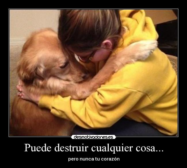 Puede destruir cualquier cosa... -