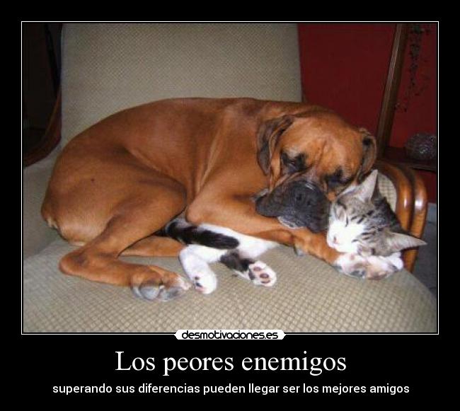 Los peores enemigos - superando sus diferencias pueden llegar ser los mejores amigos