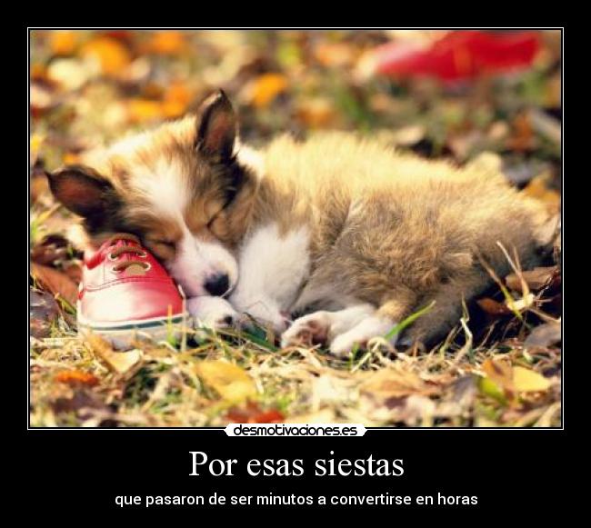 Por esas siestas -