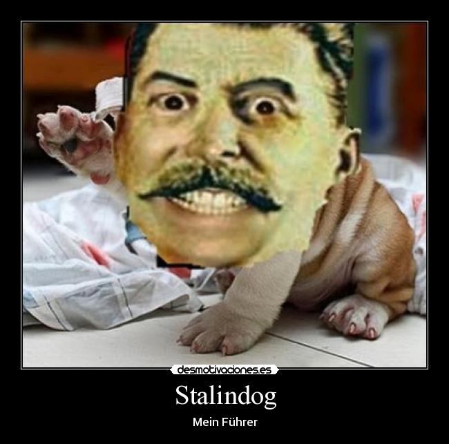 Stalindog - 