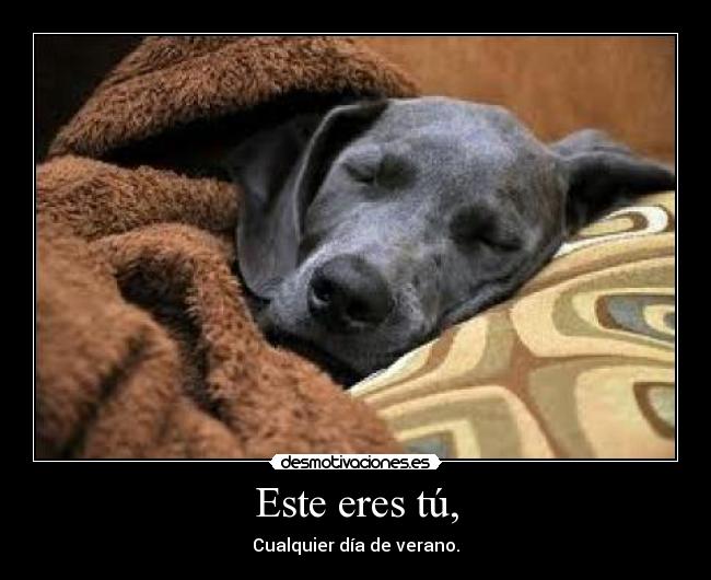 Este eres tú, - Cualquier día de verano.