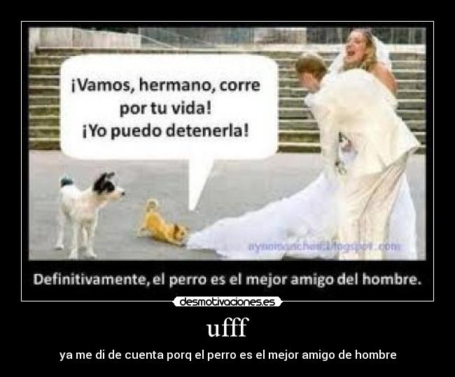 ufff - ya me di de cuenta porq el perro es el mejor amigo de hombre