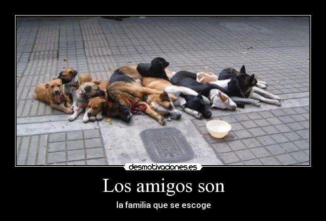 Los amigos son -