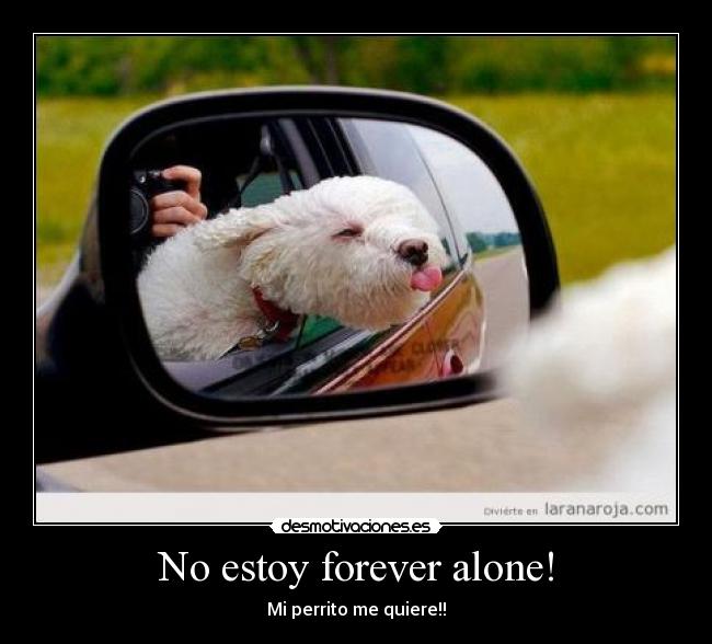 No estoy forever alone! - 