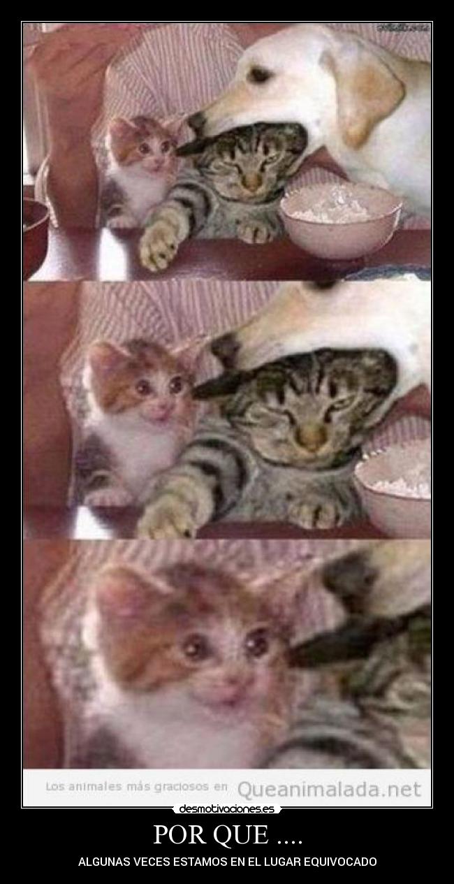 POR QUE .... - ALGUNAS VECES ESTAMOS EN EL LUGAR EQUIVOCADO