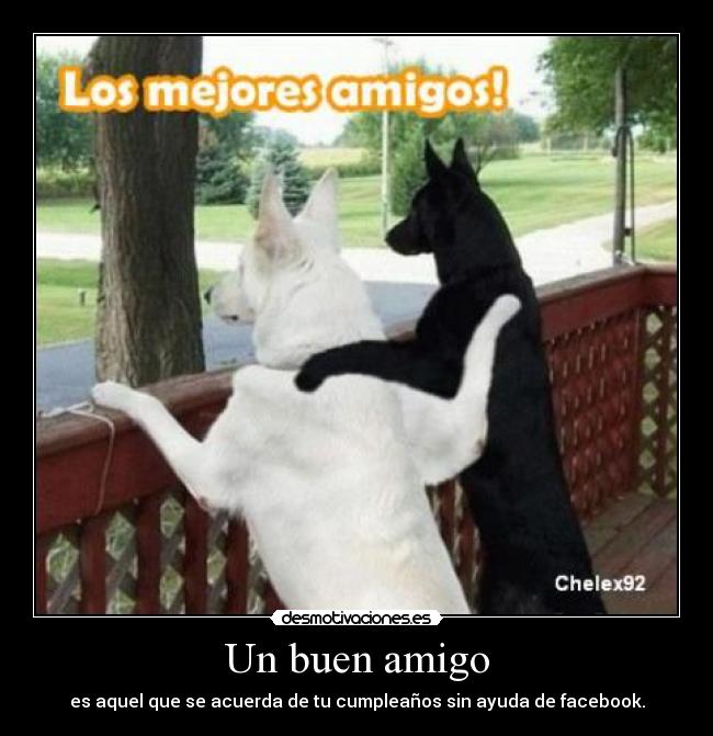 Un buen amigo - es aquel que se acuerda de tu cumpleaños sin ayuda de facebook.