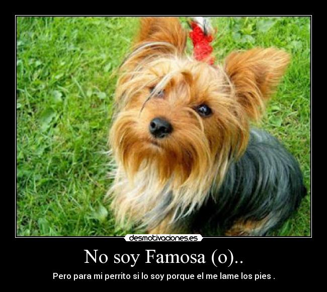 No soy Famosa (o).. -