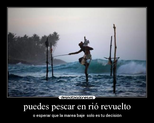 carteles jaime desmotivaciones