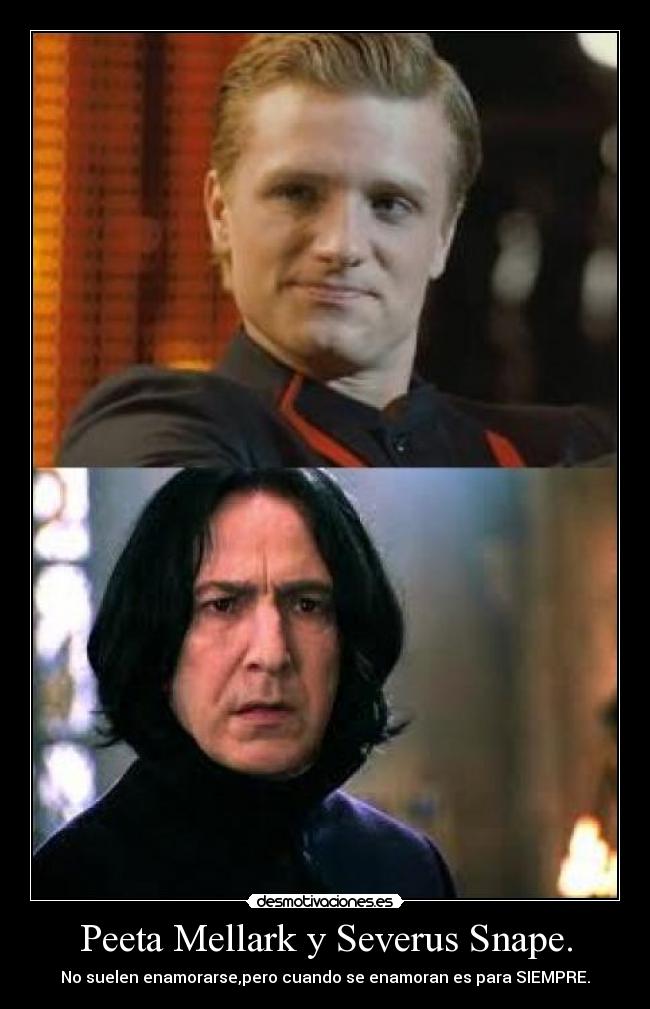 carteles peeta mellark severus snape desmotivaciones