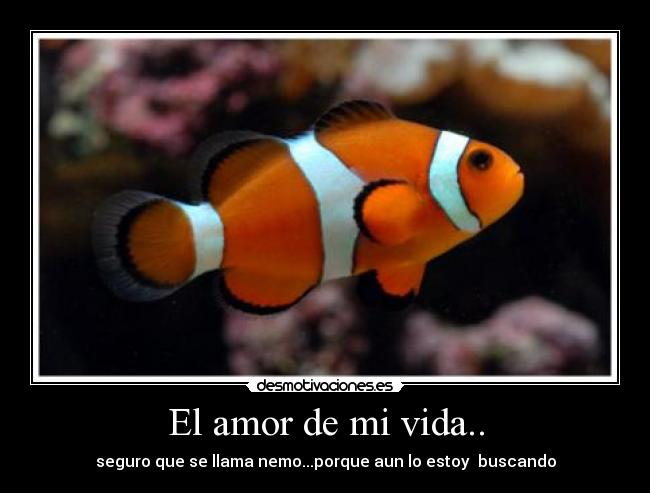 El amor de mi vida.. -