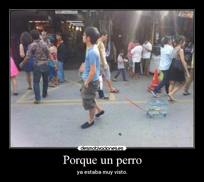 Porque un perro - ya estaba muy visto.