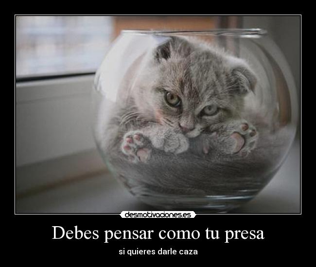 Debes pensar como tu presa - si quieres darle caza