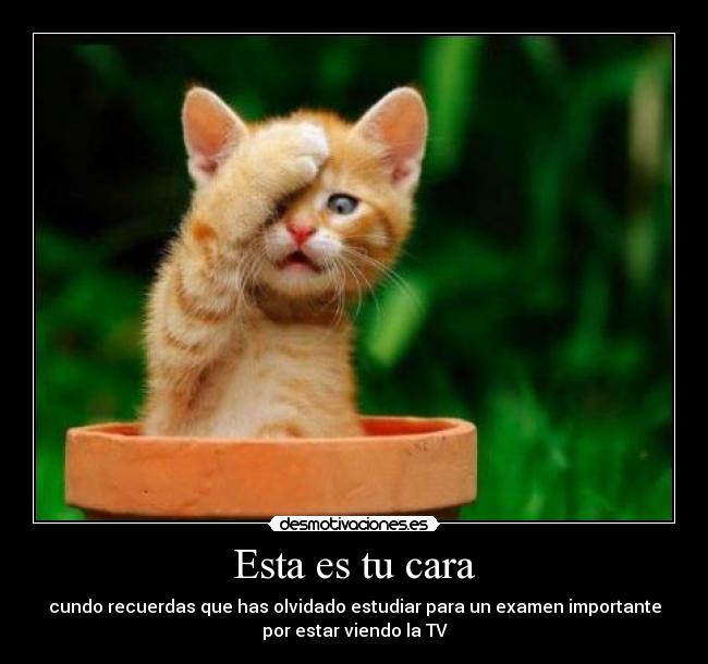 carteles claro que desmotivaciones