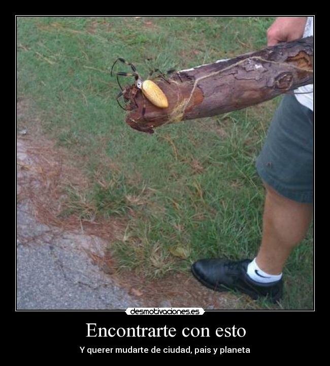 Encontrarte con esto - Y querer mudarte de ciudad, pais y planeta