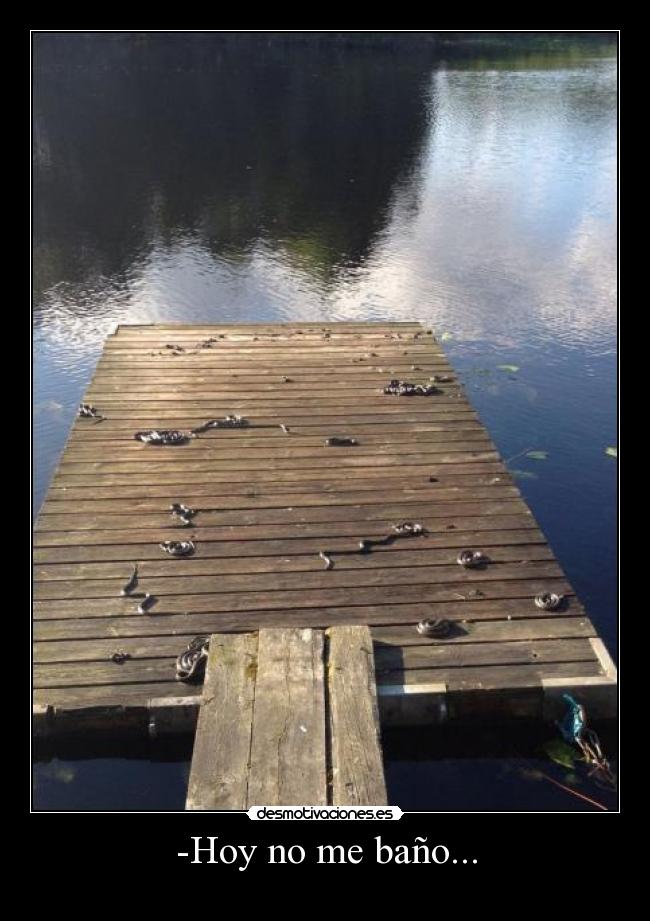 -Hoy no me baño... -