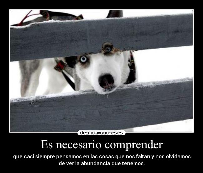 Es necesario comprender - 