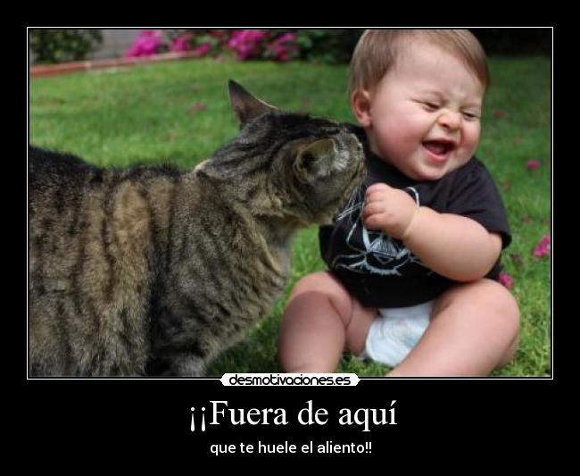 ¡¡Fuera de aquí -