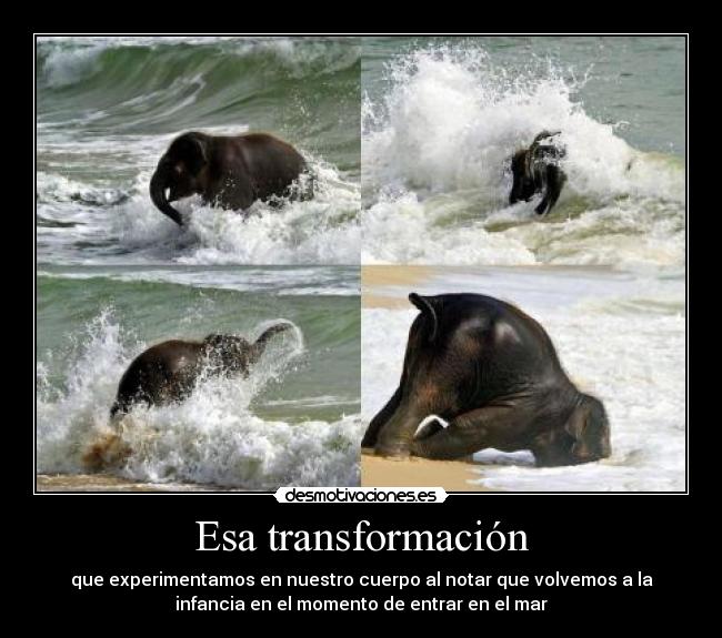 carteles juegos mar desmotivaciones