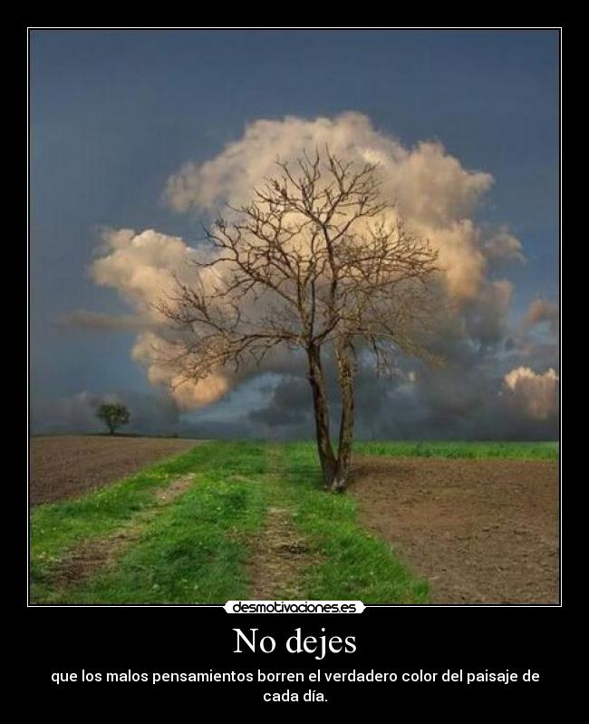 No dejes -