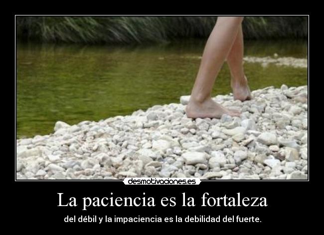 La paciencia es la fortaleza - del débil y la impaciencia es la debilidad del fuerte.