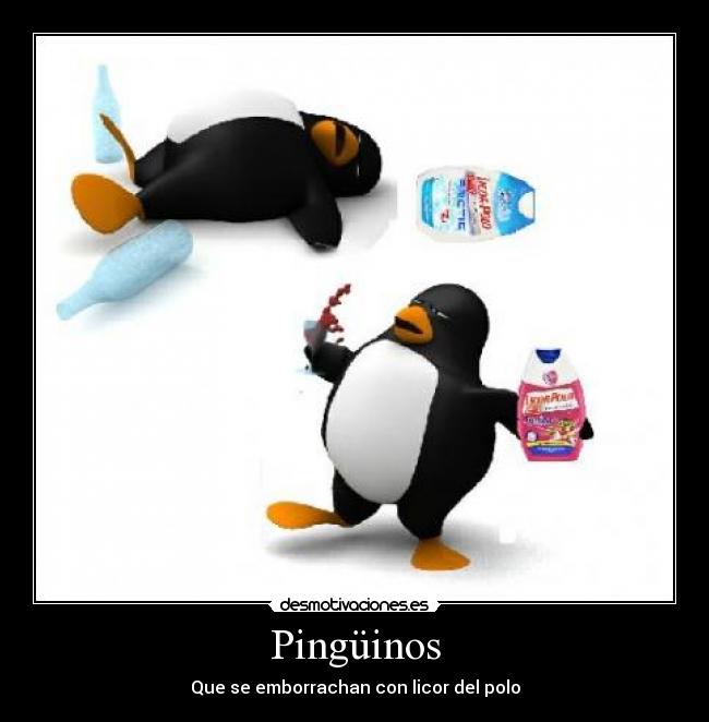 Pingüinos - Que se emborrachan con licor del polo