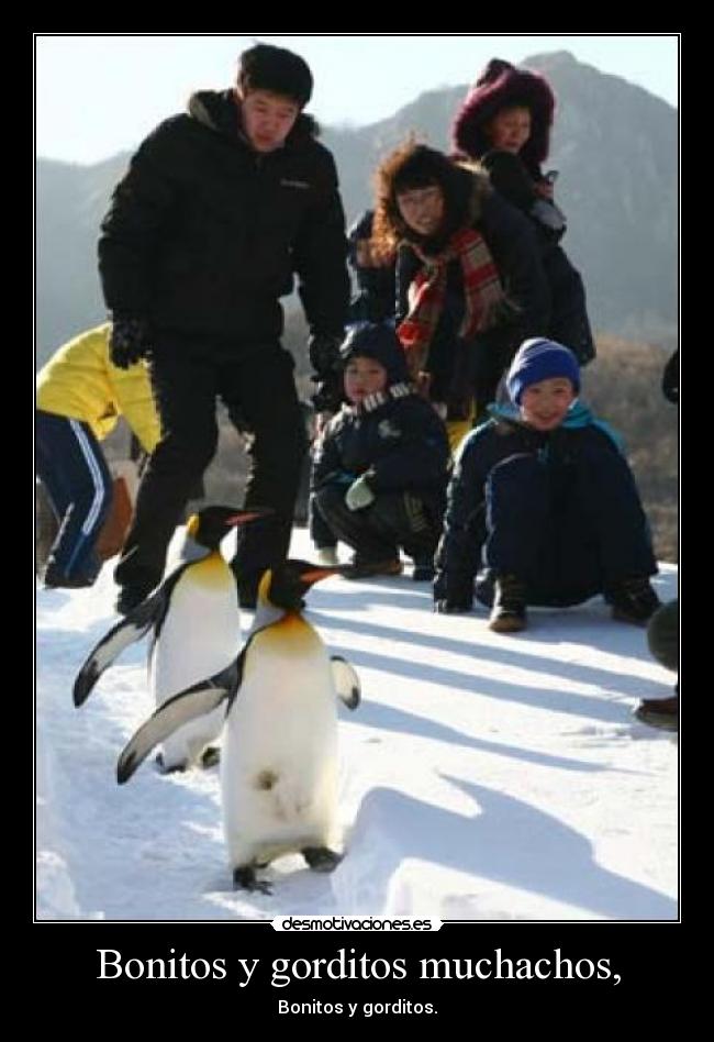 Bonitos y gorditos muchachos, -